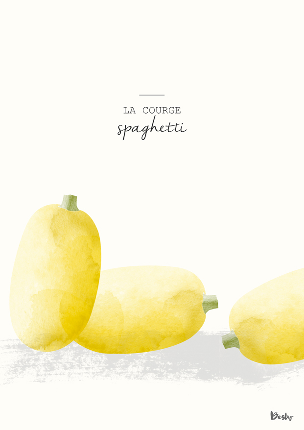 Illustration Courge Spaghetti par Besly